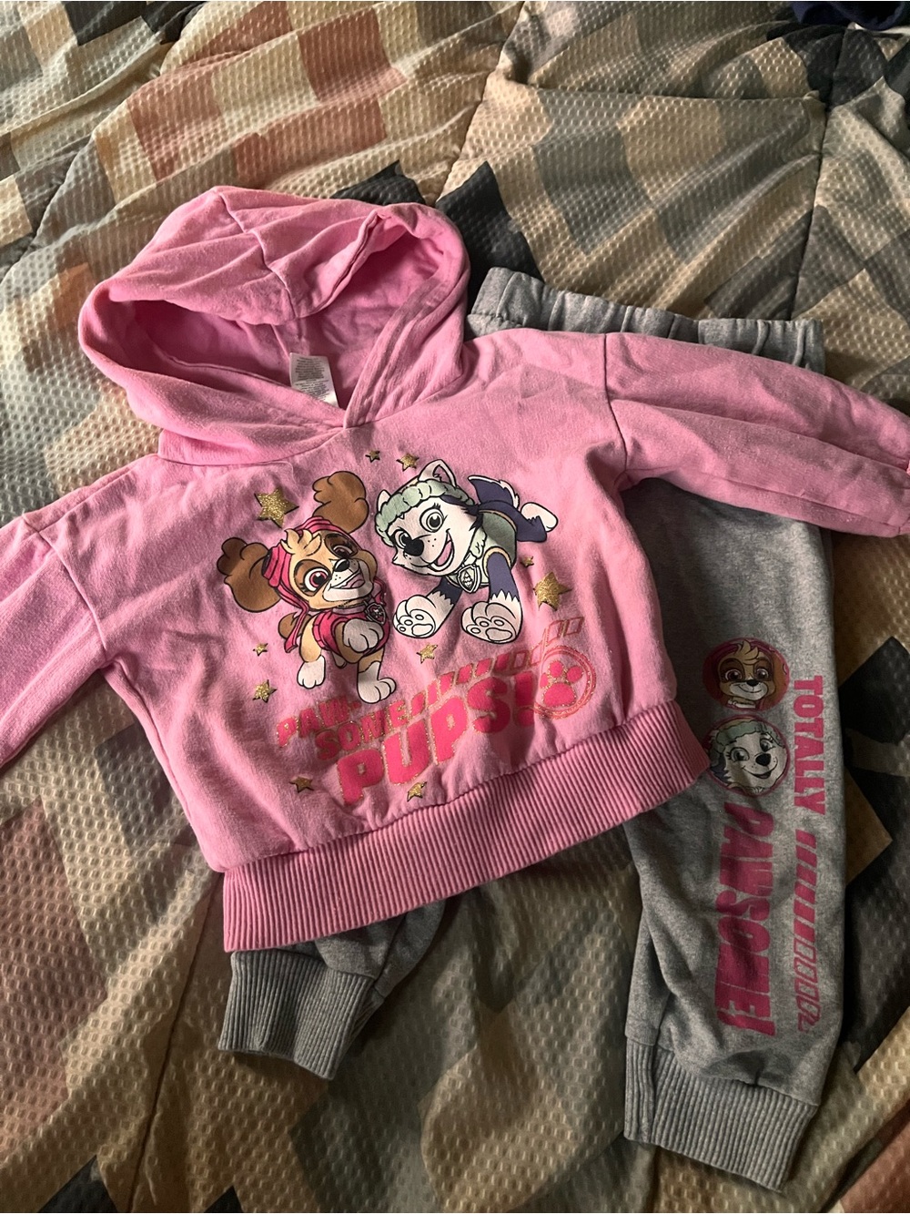 Nickelodeon Pink Paw Patrol Girls Hoodie & Gray Joggers Set